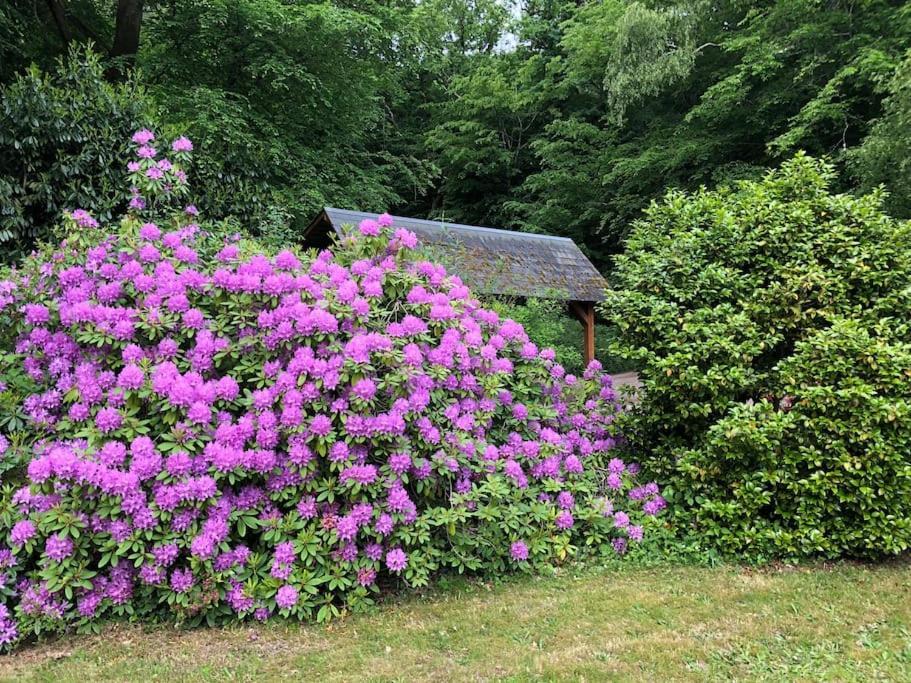 "La Homerie" Chaumiere En Pleine Nature Savigny-en-Sancerre Exteriör bild