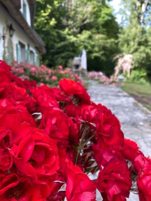 "La Homerie" Chaumiere En Pleine Nature Savigny-en-Sancerre Exteriör bild